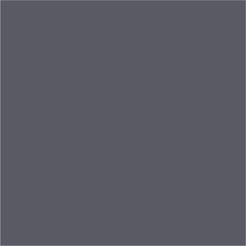 Dark Dolphin