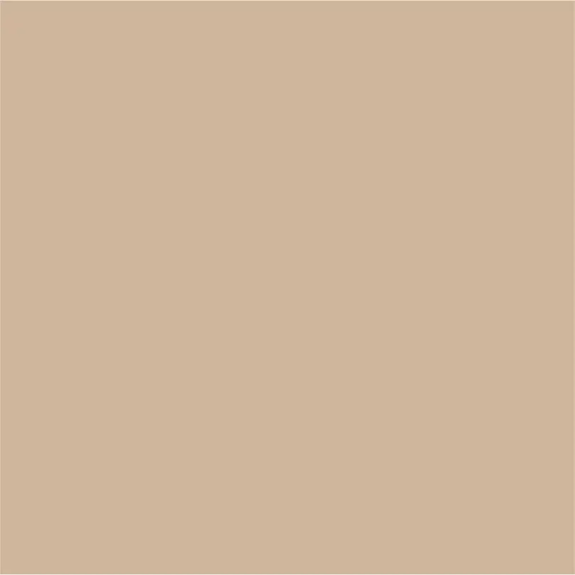 Gemsbok Sand